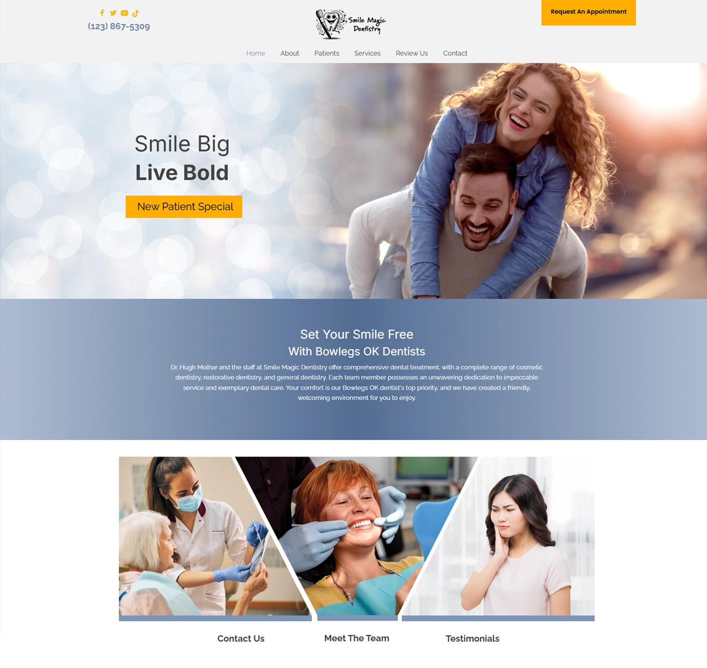 Dental Example Sites Preview Image Freedom